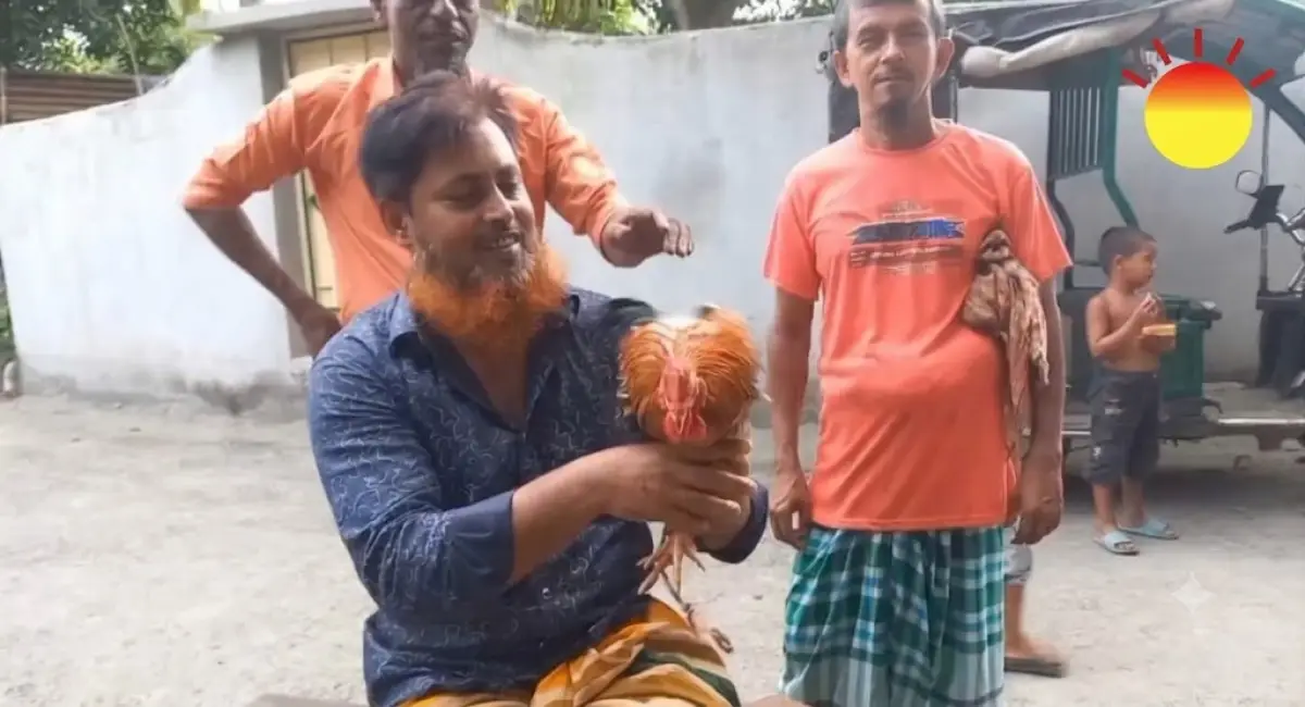 সোনারগাঁয়ে মোরগের মুখে ‘আল্লাহ আল্লাহ’ জিকির, উৎসুক জনতার ঢল